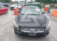 2009 Nissan MAXIMA photo