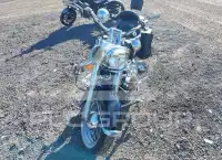 2009 Harley-Davidson FLSTN photo