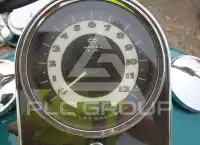 2009 Harley-Davidson FLSTN фото