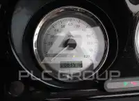 2009 Harley-Davidson FLHX фото