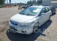 2009 Honda CIVIC фото