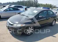 2009 Honda CIVIC photo