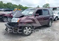 2009 Honda PILOT фото