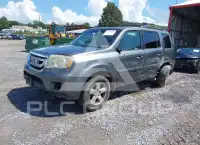2009 Honda PILOT фото