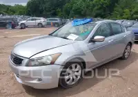 2009 Honda Accord фото