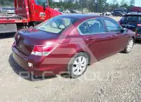 2009 Honda Accord photo