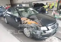 2009 Honda Accord photo