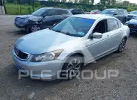 2009 Honda Accord фото