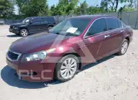 2009 Honda Accord фото