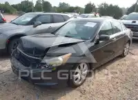 2009 Honda Accord фото