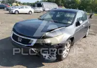 2009 Honda Accord photo
