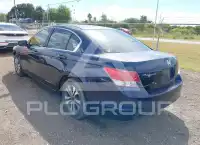 2009 Honda Accord фото