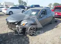 2009 Honda Accord фото
