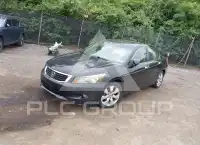 2009 Honda Accord фото
