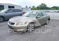 2009 Honda Accord фото