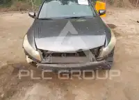 2009 Honda Accord photo