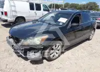 2009 Honda Accord фото
