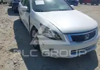 2009 Honda Accord фото