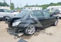 2009 Honda Accord фото