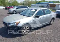 2009 Honda Accord photo