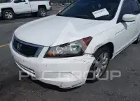 2009 Honda Accord фото
