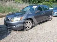 2009 Honda Accord фото