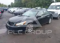 2009 Honda Accord фото