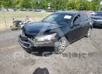 2009 Honda Accord photo