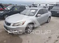 2009 Honda Accord photo