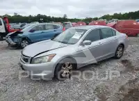 2009 Honda Accord фото