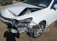 2009 Honda Accord фото