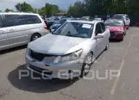 2009 Honda Accord фото