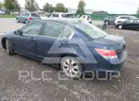 2009 Honda Accord фото