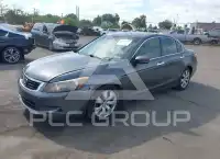 2009 Honda Accord фото