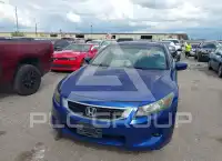 2009 Honda Accord фото