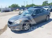 2009 Honda Accord фото