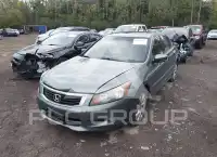 2009 Honda Accord фото