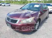 2009 Honda Accord фото