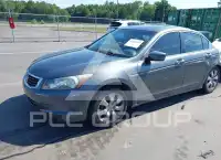 2009 Honda Accord фото