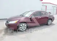2009 Honda Accord фото