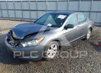 2009 Honda Accord фото