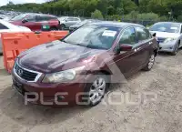 2009 Honda Accord фото