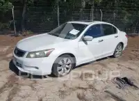 2009 Honda Accord фото