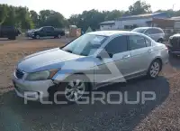 2009 Honda Accord фото