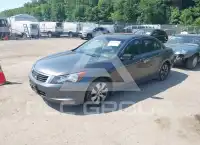 2009 Honda Accord фото