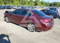 2009 Honda Accord фото