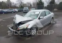 2009 Honda Accord фото