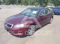 2009 Honda Accord фото