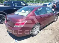 2009 Honda Accord фото