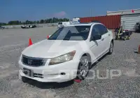 2009 Honda Accord фото